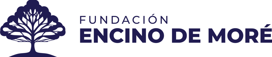 Logo horizontal FEM